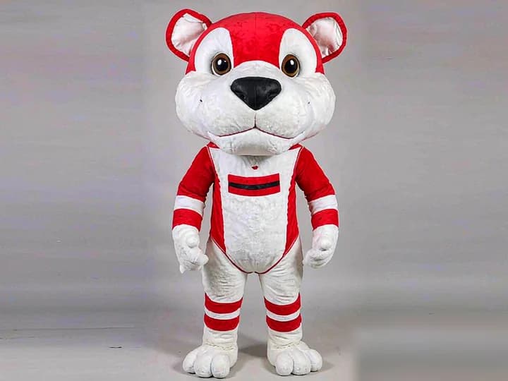 Custom-designed school mascot costume
